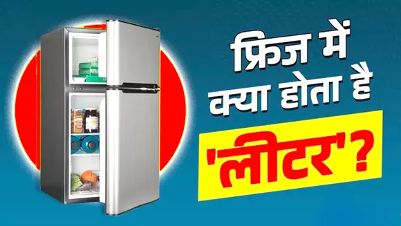 FREEDGE HINDI NEWS