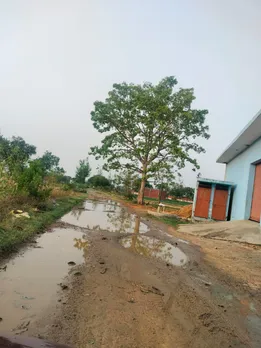 फोटो 