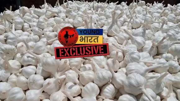 हीहीी