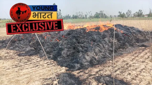 वाईबीएन 