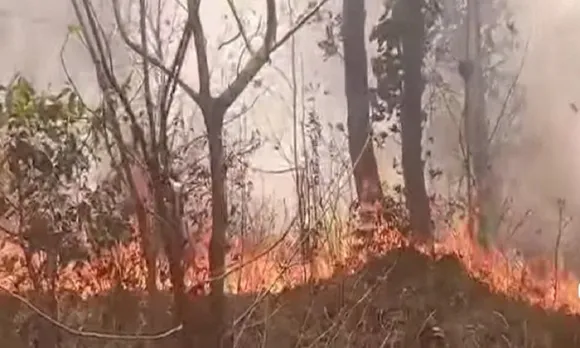 फत्तेपुर बीट के जंगल में लगी भीषण 