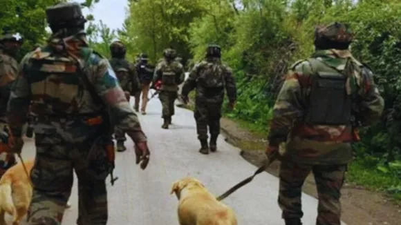 search operation