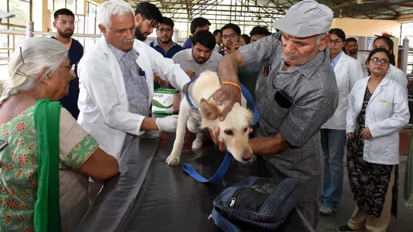 Free antirabies
