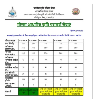 शाहजहांपुर न्यूज 