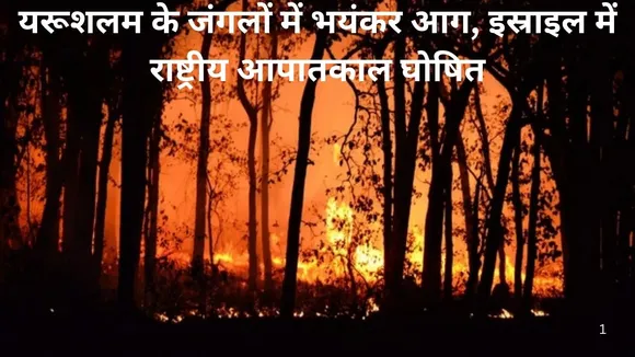 यरूशलम के जंगलों में भयंकर आग, इस्राइल में राष्ट्रीय आपातकाल घोषित