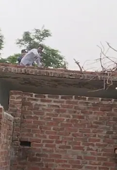 वाईबीएन