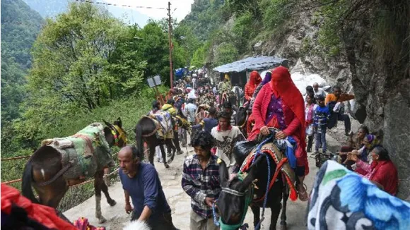 चारधाम यात्रा, घोड़े खच्चर