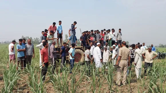 वाईबीएन