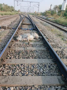 शाहजहांपुर 