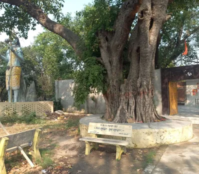 वाईबीएन