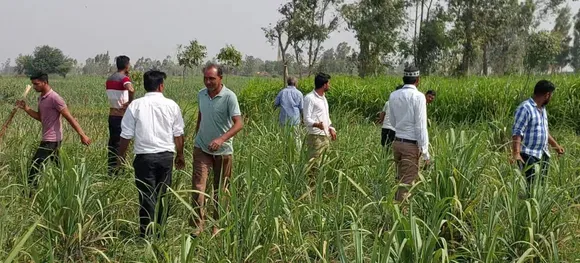 वाईबीएन