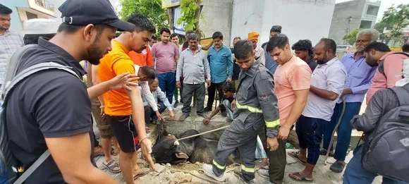 वाईबीएन 