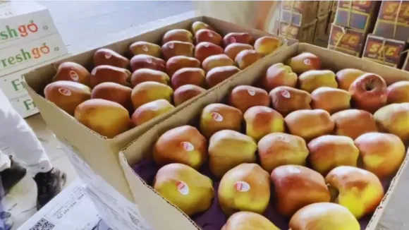 Apple Strike