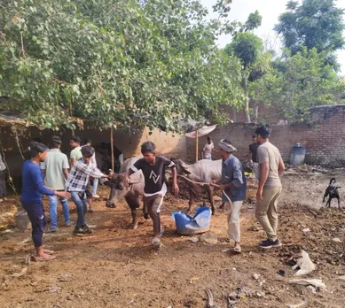 नगर निगम की टीम कार्रवाई करते hue