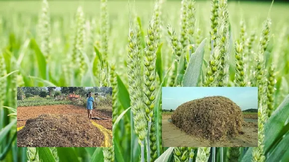 UP farmers make land fertile