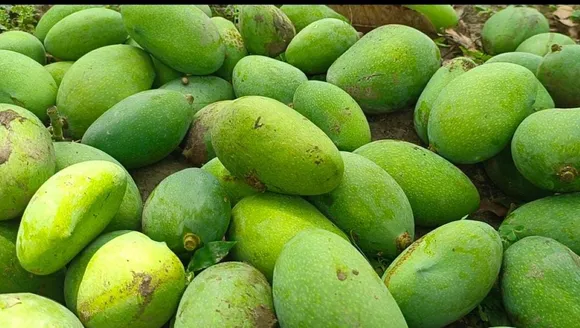 वाईबीएन 