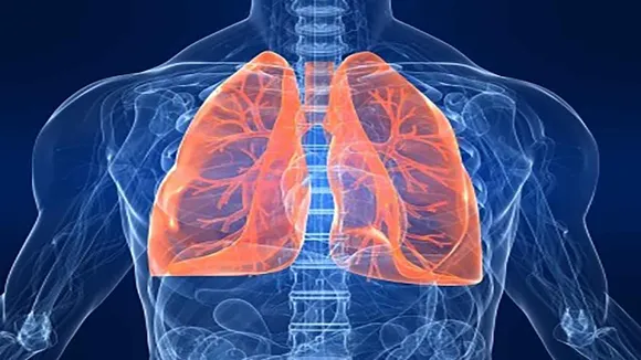 lungsnasalspray