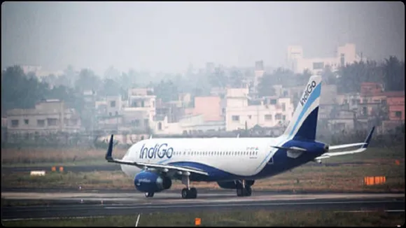 Indigo plane