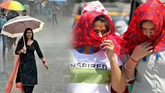 India weather forecast 24 may, 2025