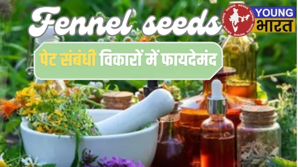 In Ayurveda, fennel is known as Shatapushpa. It is helpful in curing stomach related disorders. Fennel seeds are cooling and soothing. They are helpful in balancing pitta dosha.