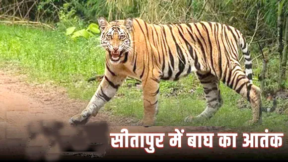 SITAPUR NEWS