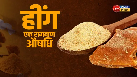 हींग, एक रामबाण औषधि