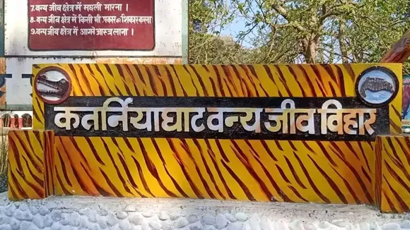 वन विभाग