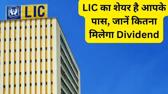 LIC SHARE PROFIT NEWS