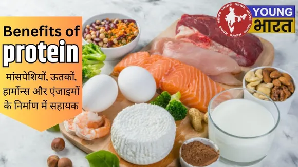 Benefits of protein