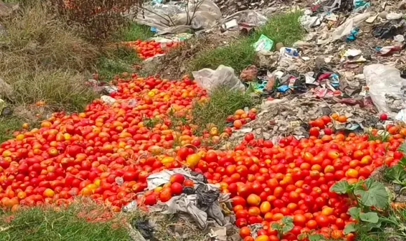 वाईबीएन