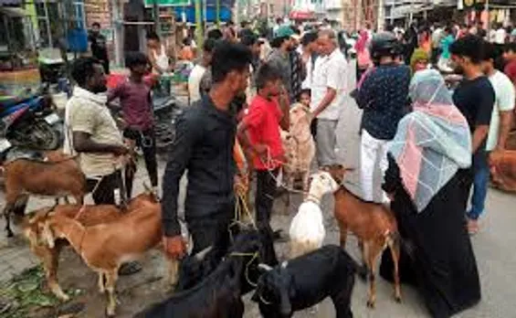 वाईबीएन 