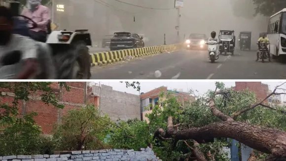 तेज आंधी के कारण लाइट जलाकर गुजरते वाहन और कल्याणपुर में उखड़ा पीपल का पुराना दरख्त। 