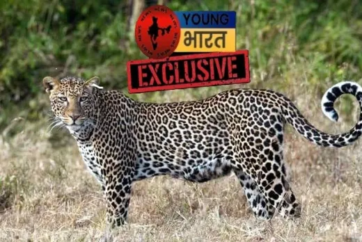 वाईबीएन 