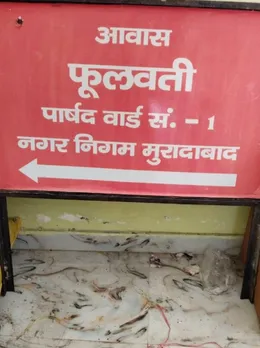 वाईबीएन