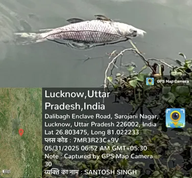 िहीी