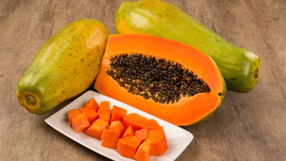 papaya 