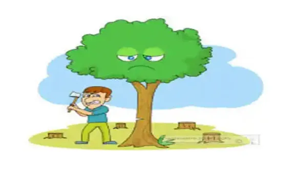 पेड़ कटवाने का आरोप