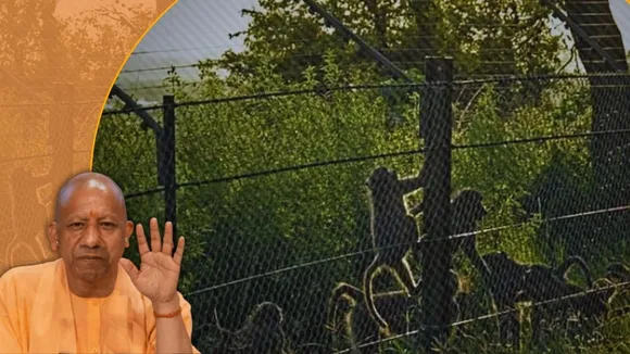 वन्‍यजीव क्षेत्र