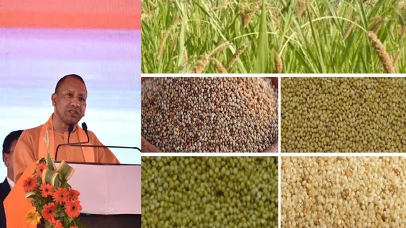 UP 47 districts Promotion Nutri Cereals cultivation