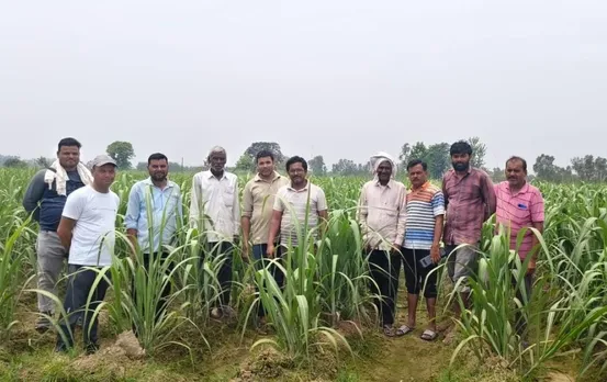 वाईबीएन 