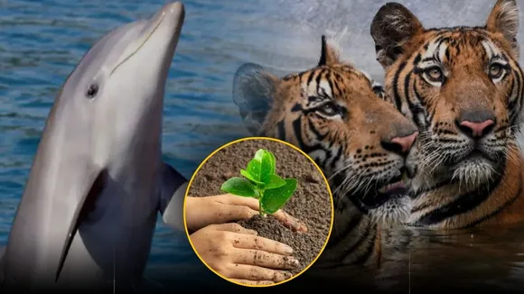 उत्‍तर प्रदेश। 
