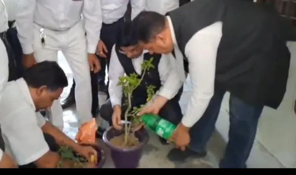 वाईबीएन