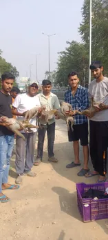 मृत मिले बंदर