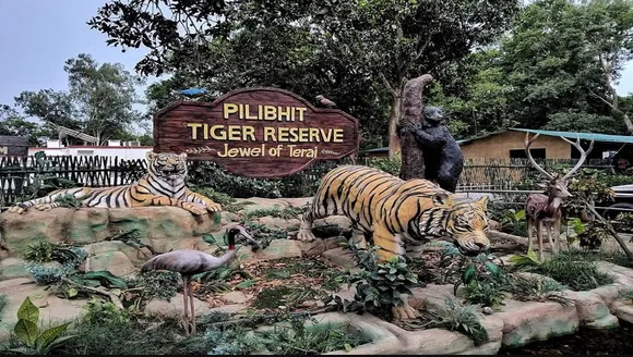 tigher4