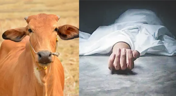 गोवंशीय पशु से टकराकर युवक की मौत