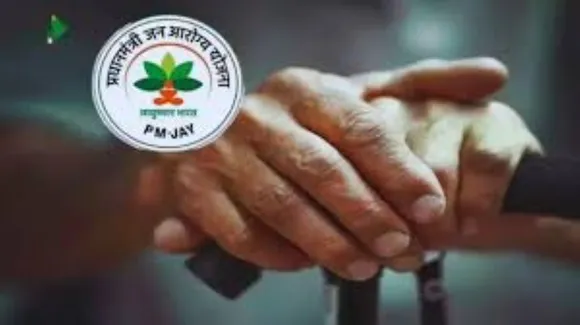 वाईवीएन