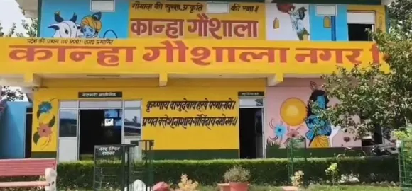 वाईवीएन