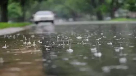rain 19 j