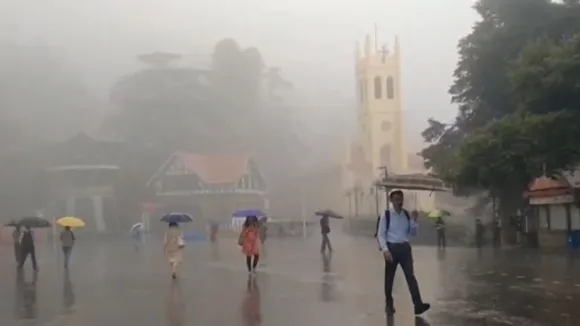 rain in shimla