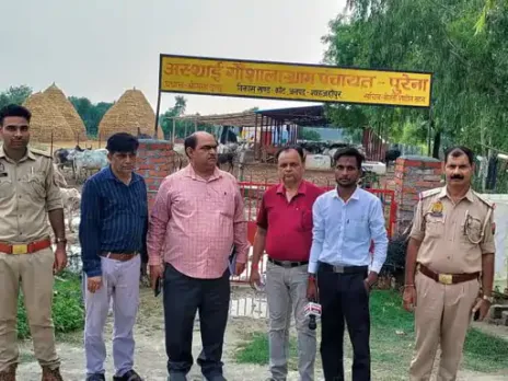 मृत गोवंश मिलने से हड़कंप,